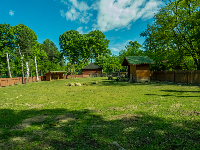 enclosure of ritaca sheep