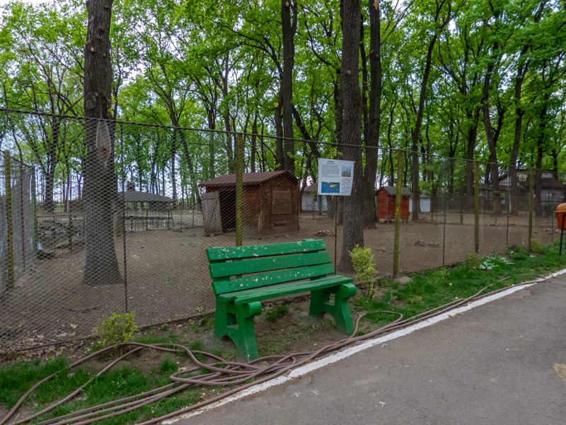 enclosure of roe deer No 1