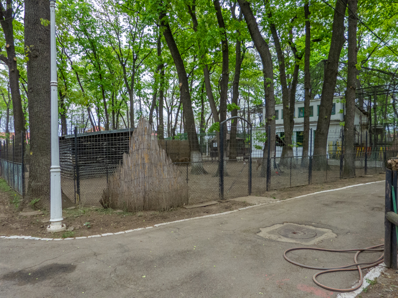 enclosure of roe deer No 2