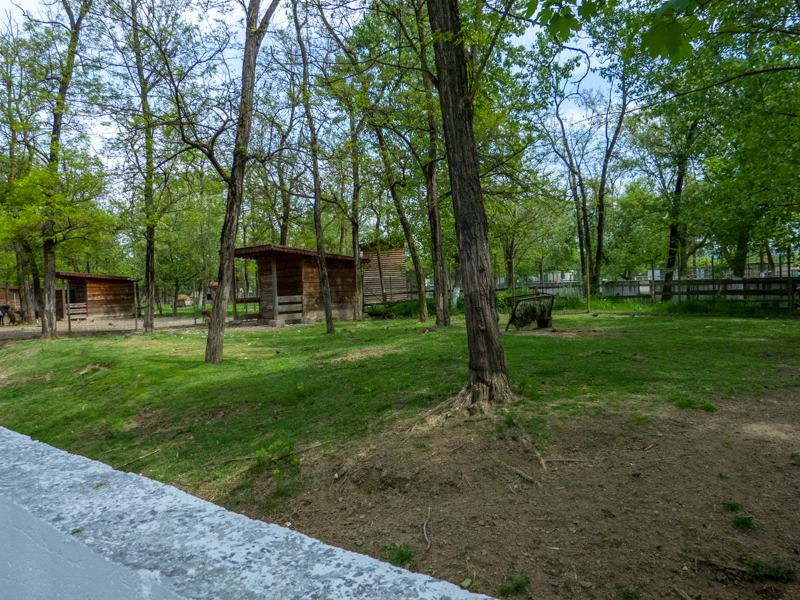 enclosure of roe deer