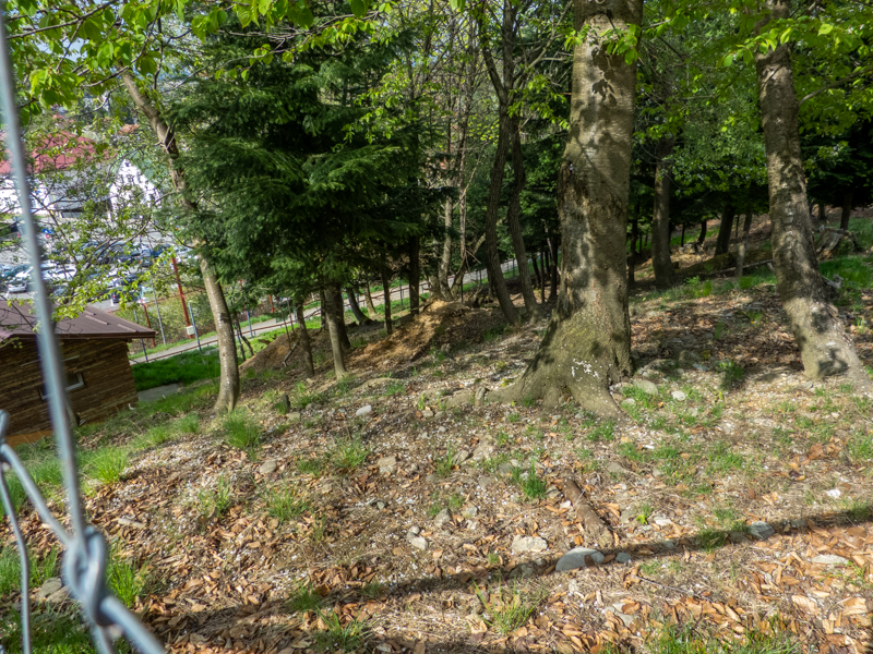 enclosure of roe deer