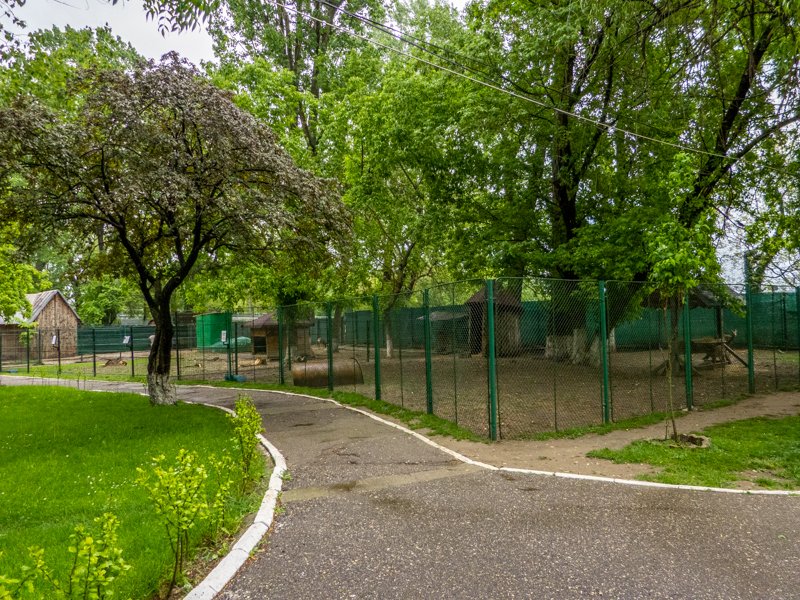 enclosure of roe deer