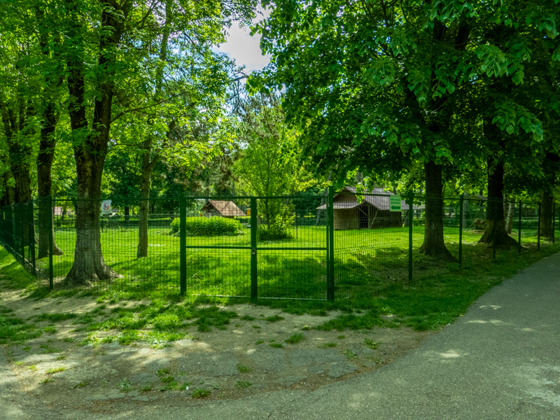 enclosure of sheep and goats