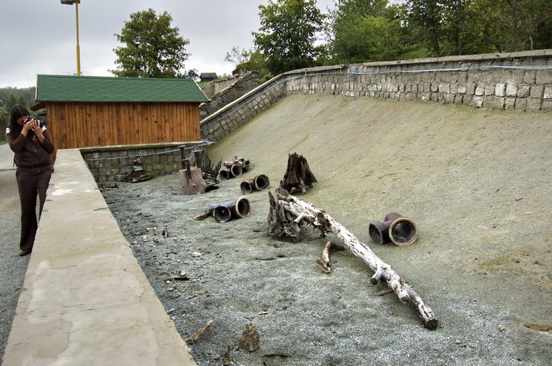 Enclosure of slender-tailed meerkats