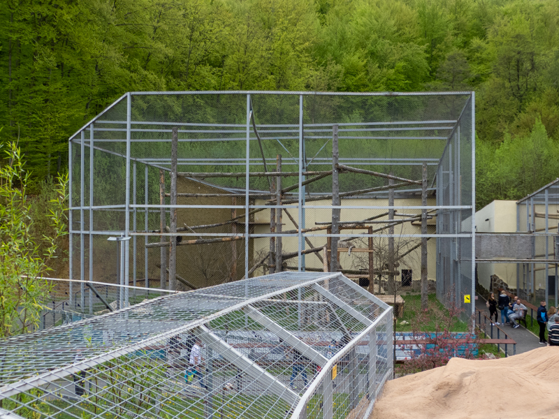 enclosure of snow leopard