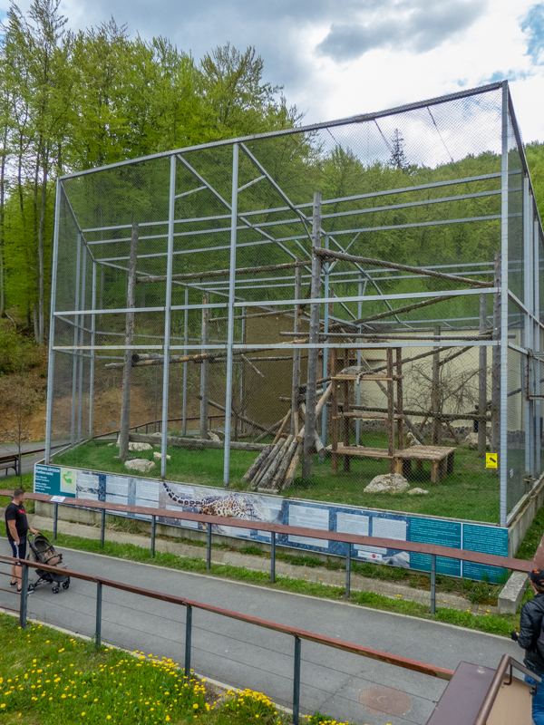 enclosure of snow leopard