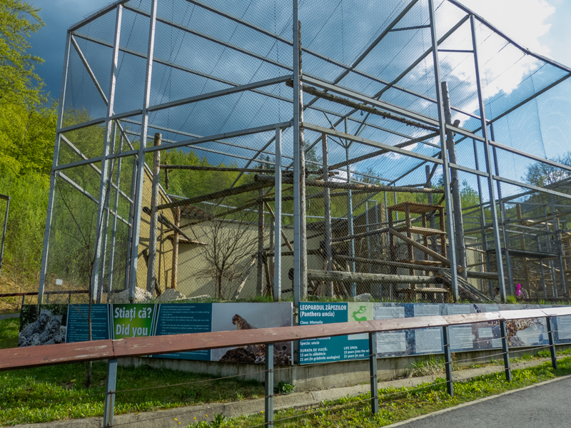 enclosure of snow leopard