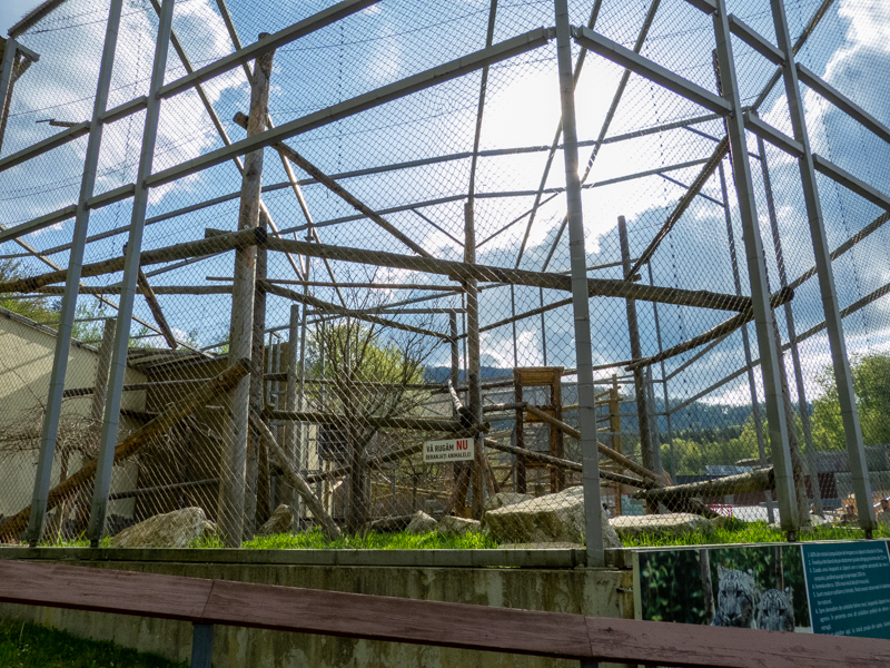 enclosure of snow leopard