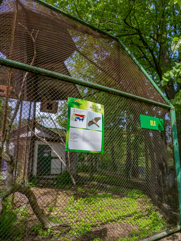 enclosure of sparrowhawk