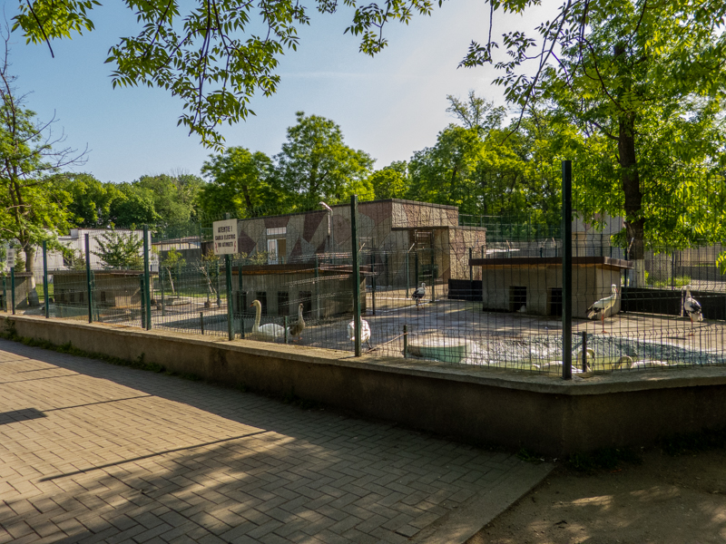enclosure of storks and swans