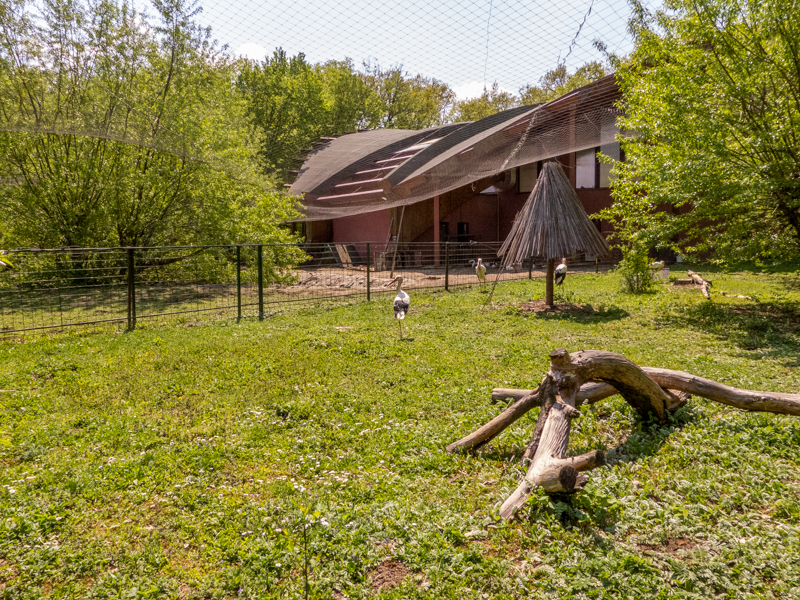 enclosure of storks