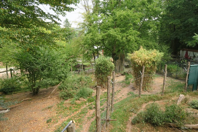 Enclosure of striped hyena