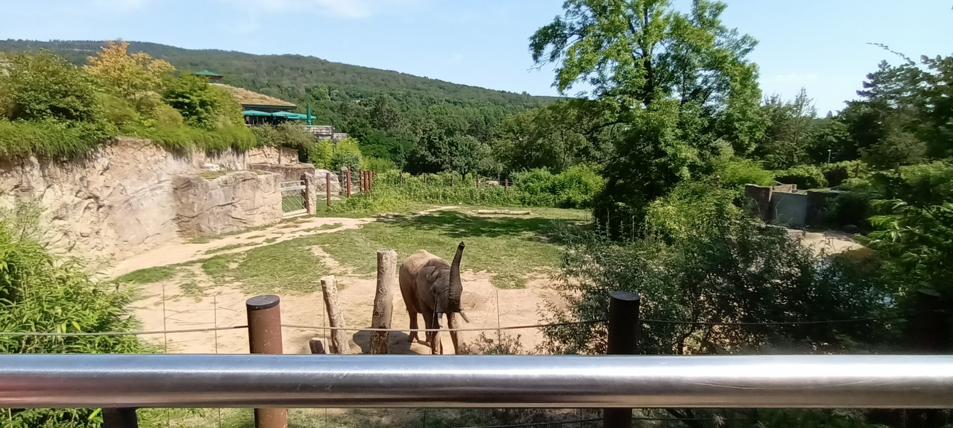 Enclosure of Tamo the African Bush Elephant Bull