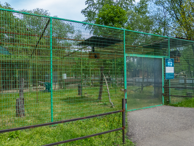 enclosure of tawny owl