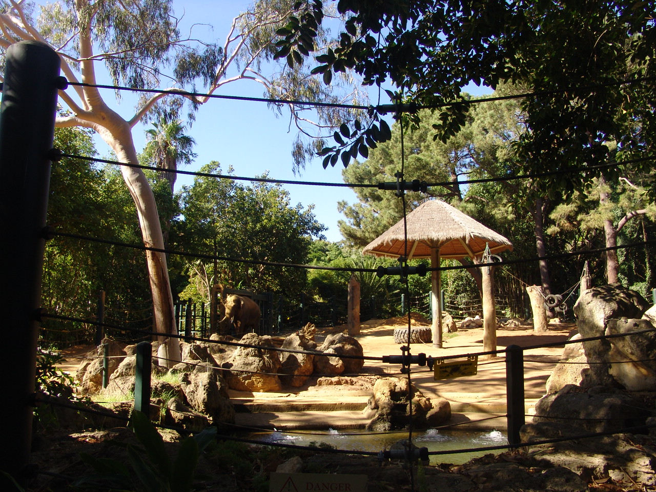 Enclosure of the Asian Elephants (Elephas maximus)