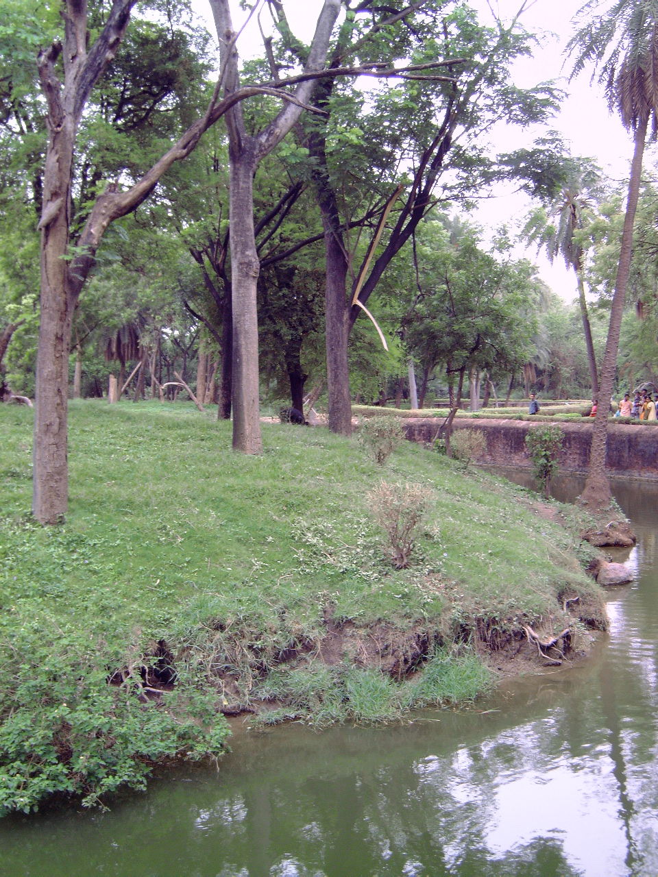 Enclosure of the Gee's Golden Langur (Trachypithecus geei)