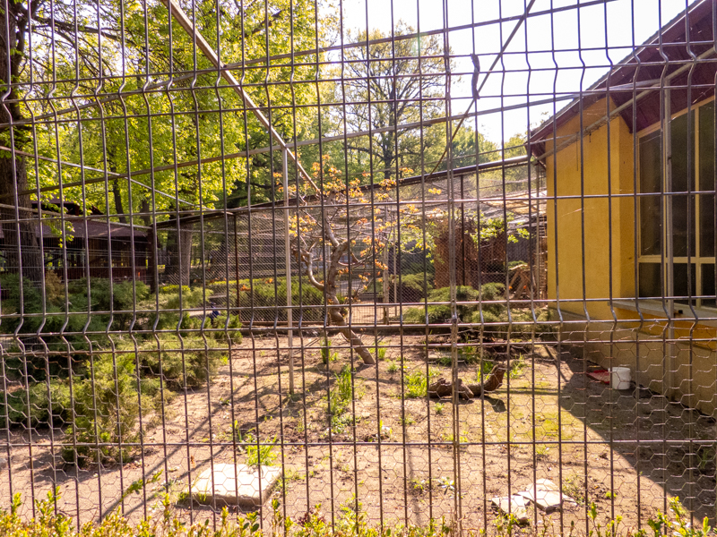 enclosure of the house of aquarium, birds and reptiles