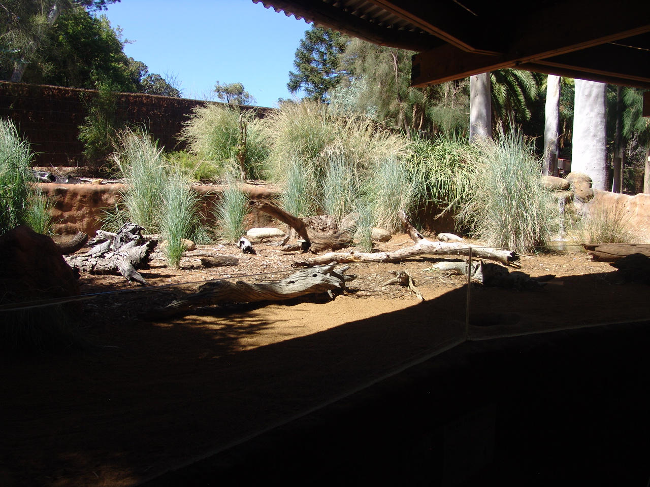 Enclosure of the Short-beaked Echidnas (Tachyglossus aculeatus)