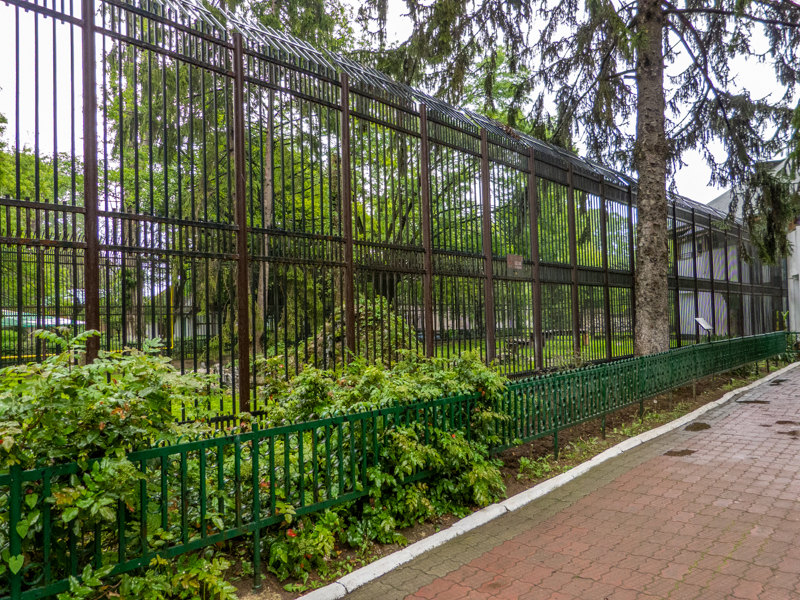 enclosure of tiger #1