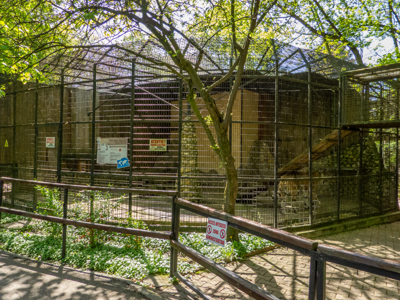 Enclosure of tiger No 1