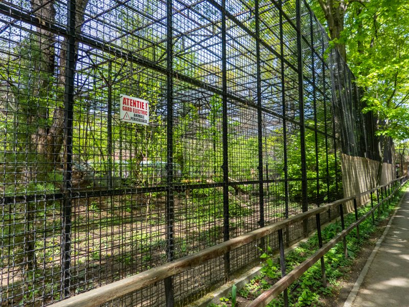 Enclosure of tiger No 2