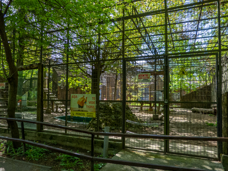 Enclosure of tiger No 3