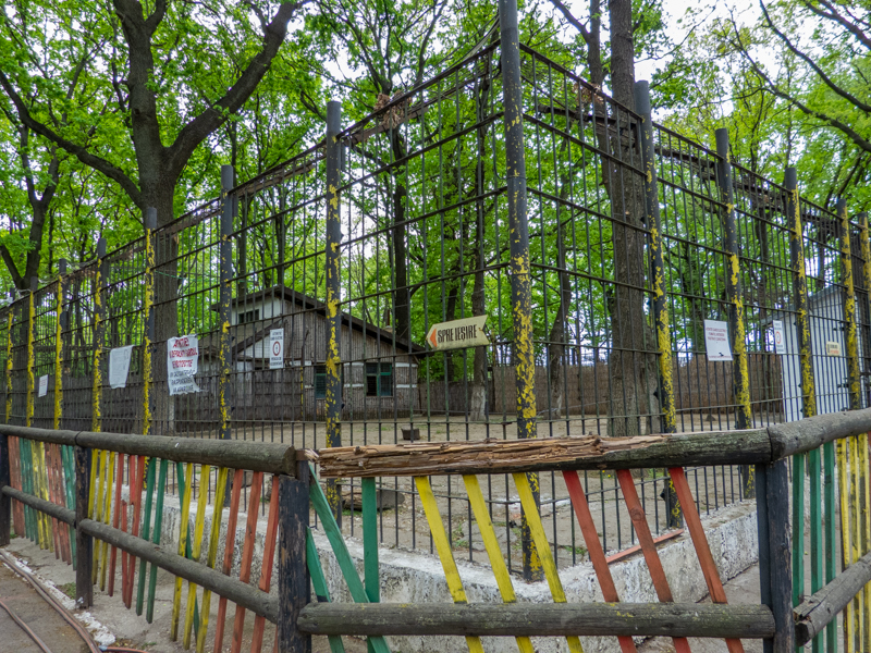 enclosure of tiger