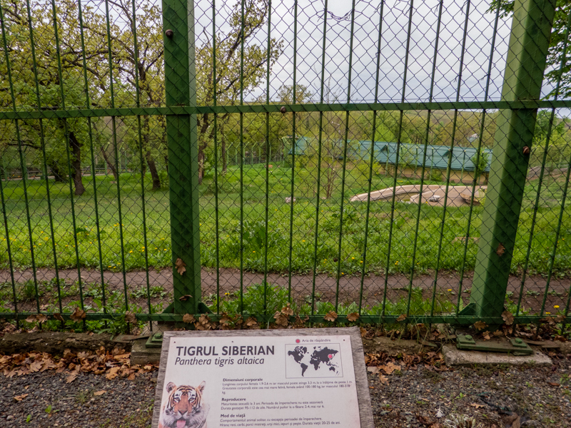 enclosure of tiger