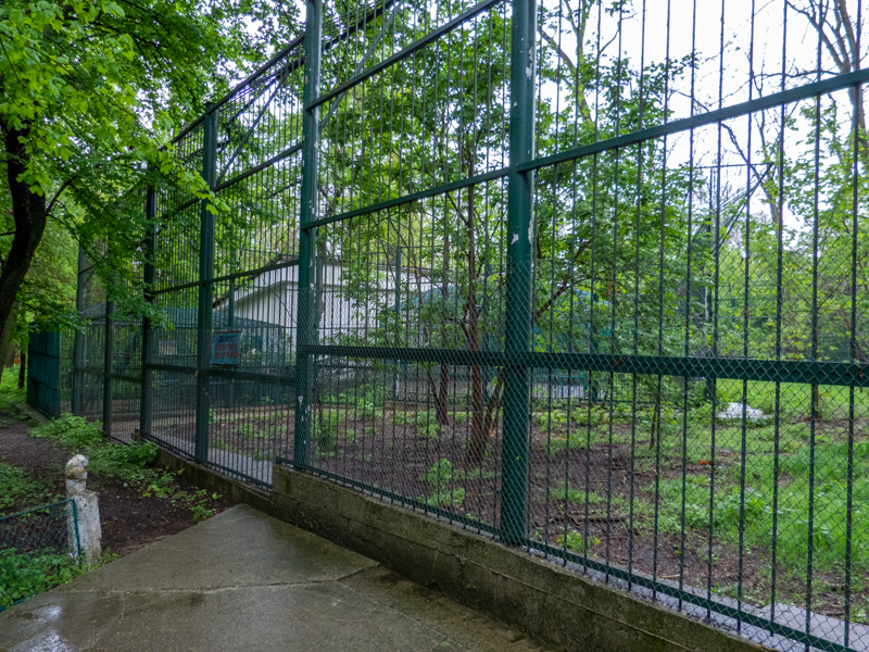 enclosure of tiger