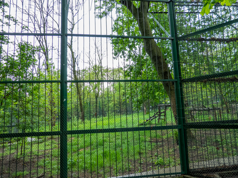 enclosure of tiger