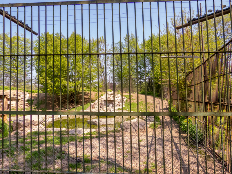 enclosure of tigers #2