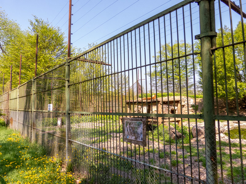 enclosure of tigers #2