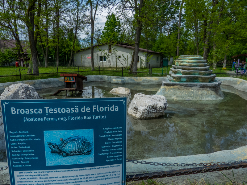 enclosure of tortoise