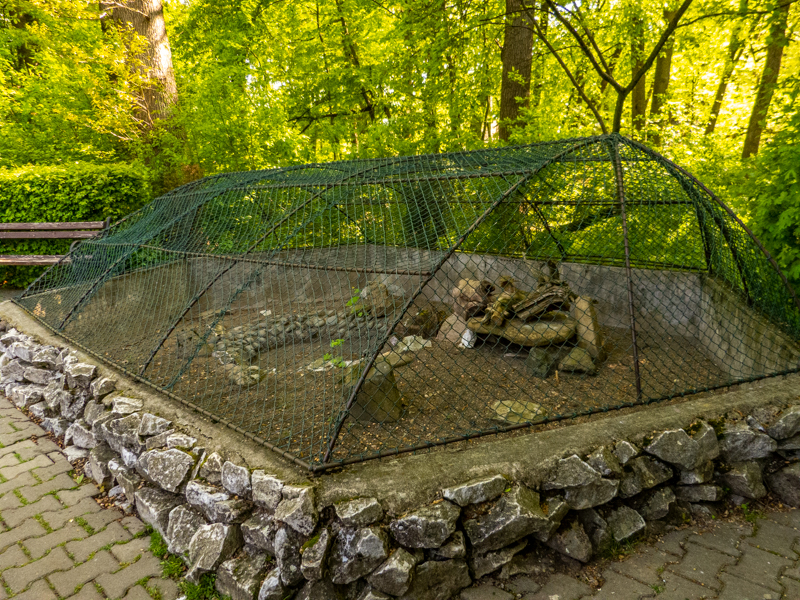 enclosure of tortoise