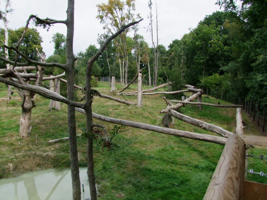 Enclosure of Tremarctos ornatus