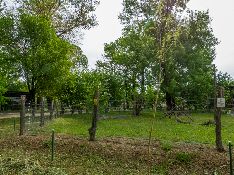 enclosure of tufted capuchin
