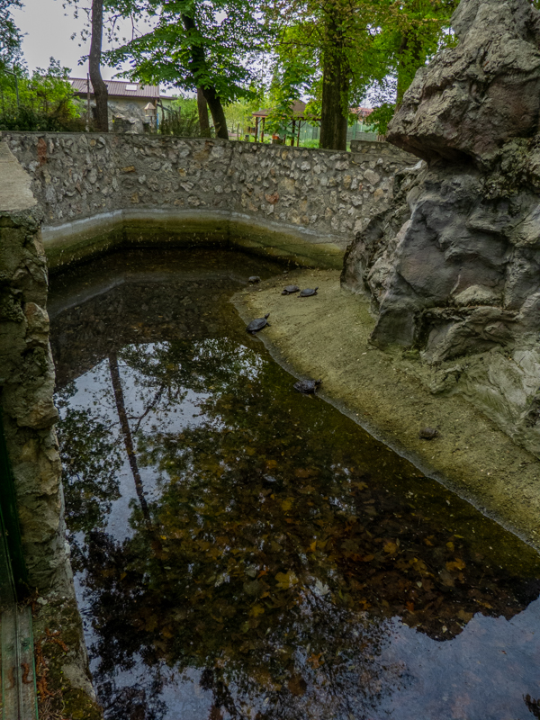 enclosure of turtles