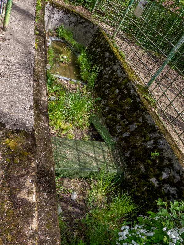 enclosure of turtles