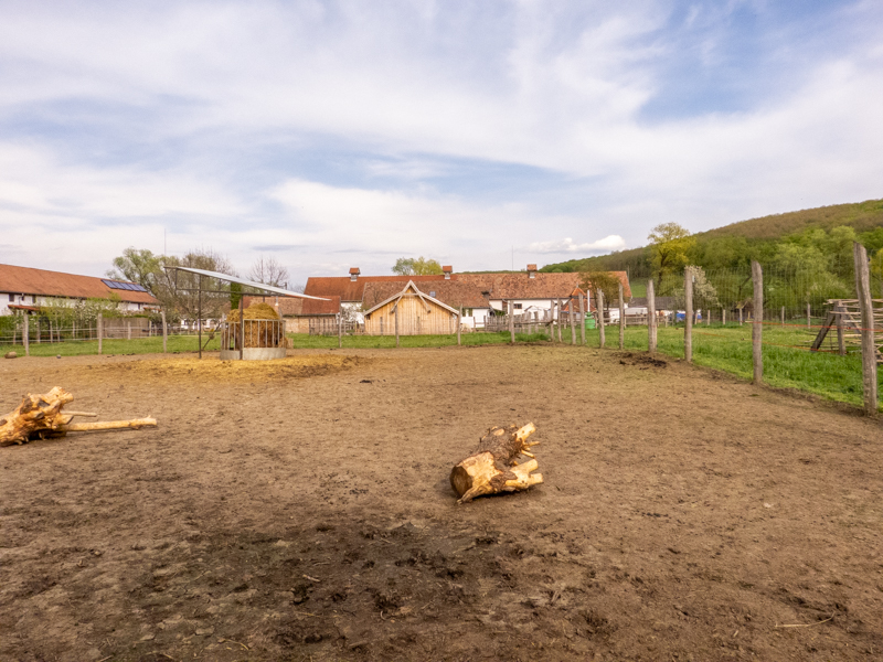 enclosure of ungulates