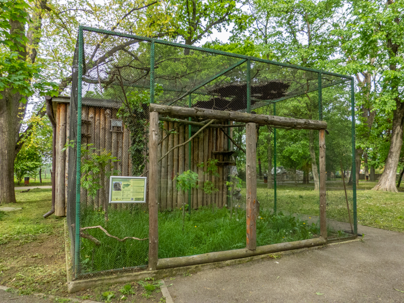 enclosure of ural owl