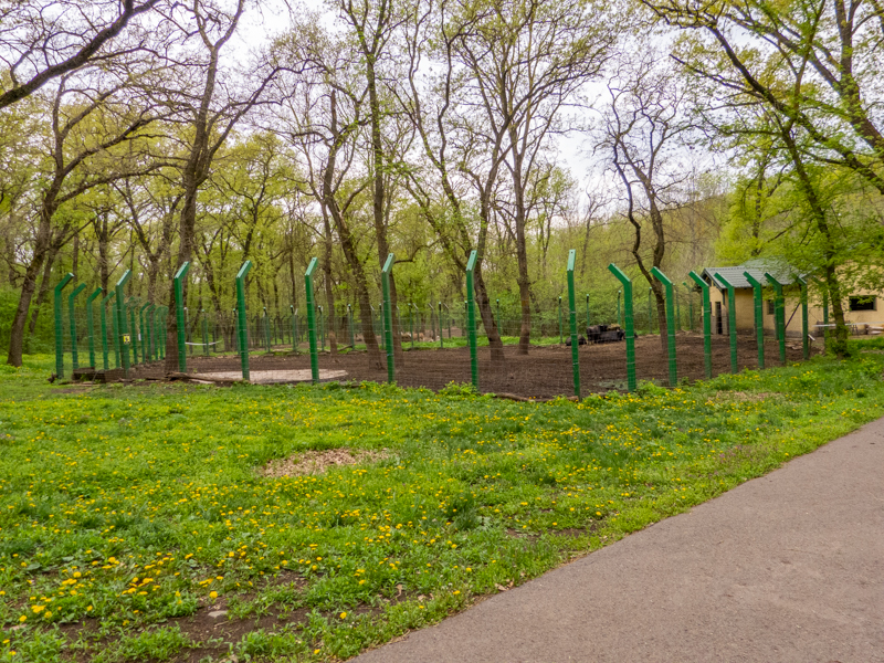 enclosure of water buffalo