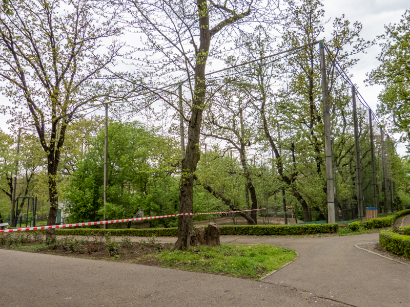 enclosure of water fowl