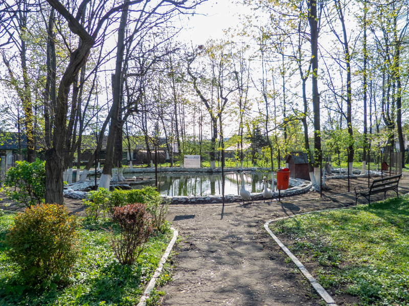 Enclosure of water fowl