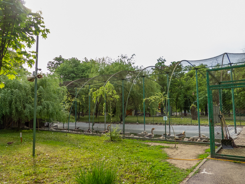enclosure of water fowl