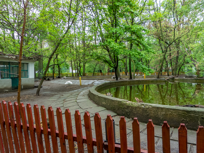 enclosure of waterfowl