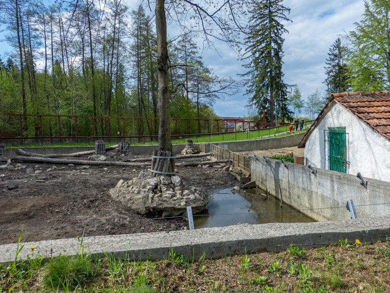 enclosure of wild boar