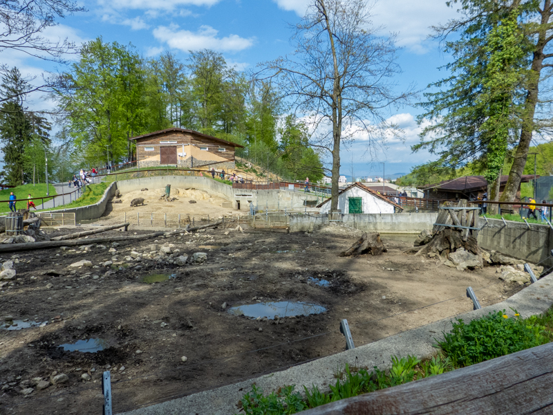 enclosure of wild boar