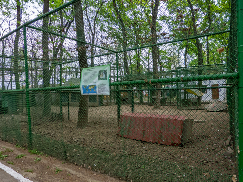 enclosure of wild European rabbits