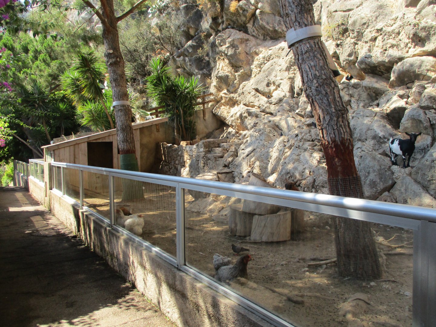 Enclosure on the rockside.