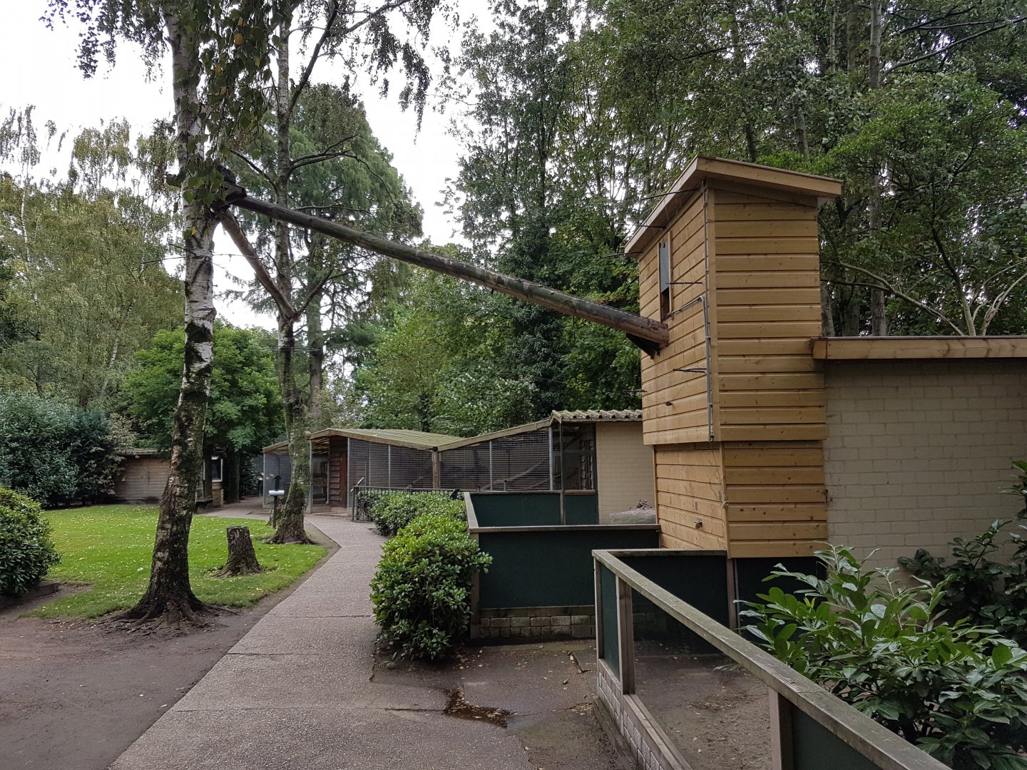 Enclosure Palawan binturong